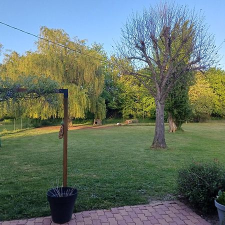 Bed and Breakfast La Grange Des Roisnes Longué Esterno foto